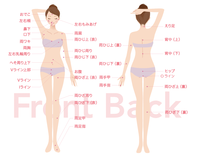 シースリー（C3）青森店は全身53ヶ所脱毛